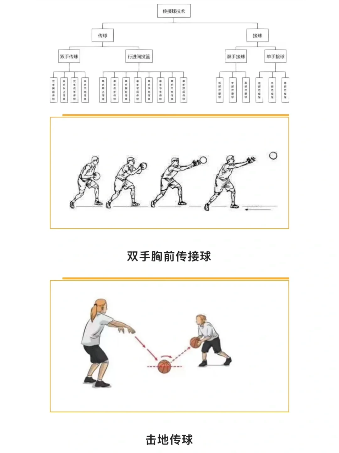 篮球教学训练理论与方法